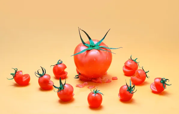 Drops, loss, red, giant, kids, tomato, tomatoes, Creek