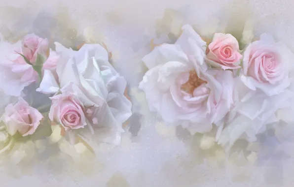Picture tenderness, roses, pastel, buds