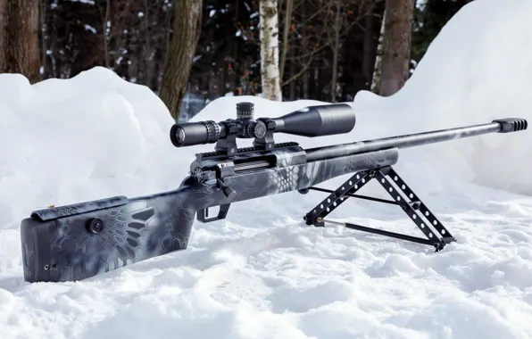 Picture Snow, Twilight, Sniper rifle Lobaeva, Sverhdalnoboynaya svlk-14
