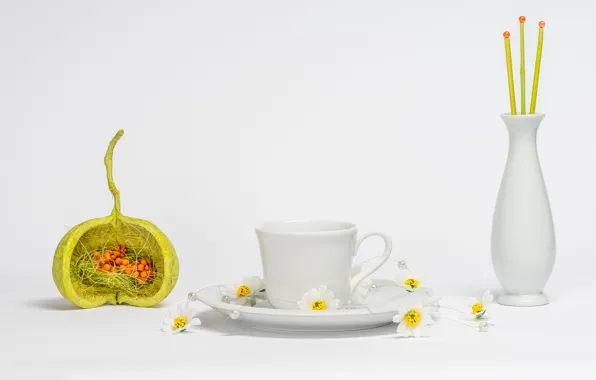 Flowers, Cup, pearl, vase, white