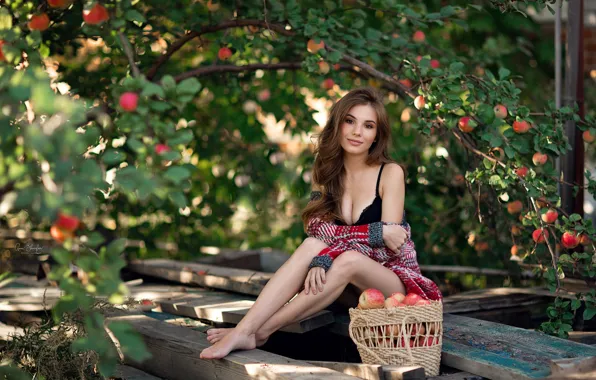Picture look, the sun, trees, sexy, pose, smile, basket, model