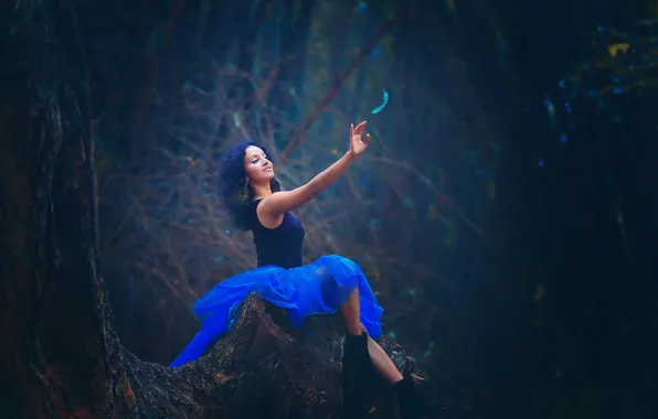 Forest, girl, stump, feathers