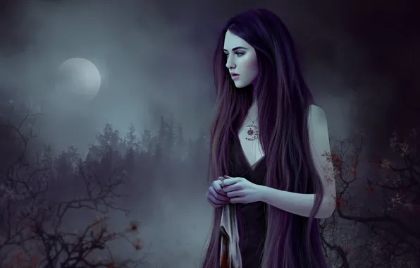 Girl, Fog, Night, The moon, Fantasy, Art, Fiction, Illustration