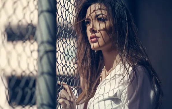 Girl, mesh, the fence, beauty