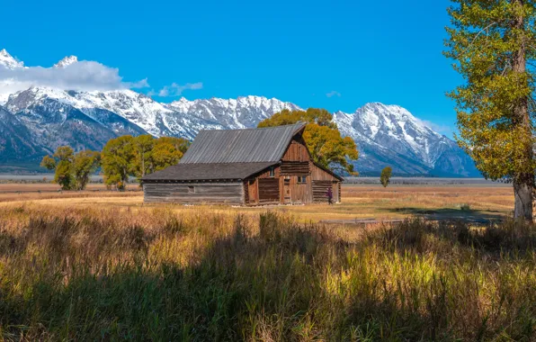 Field, mountains, house, panorama, Grand Teton