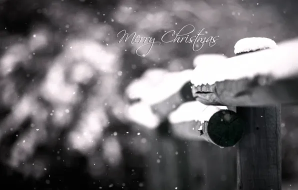 Macro, snow, bokeh, merry christmas