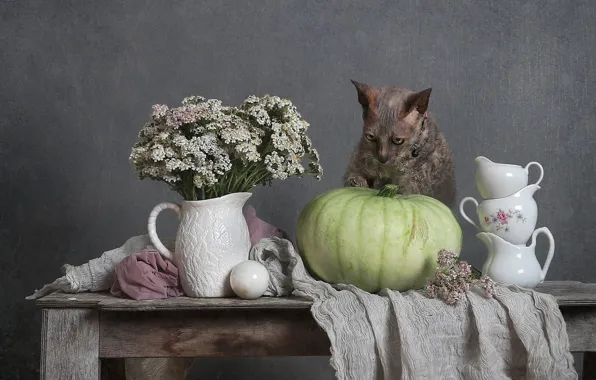Cat, cat, flowers, pose, table, bouquet, dishes, fabric