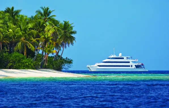 Palm trees, the ocean, yacht