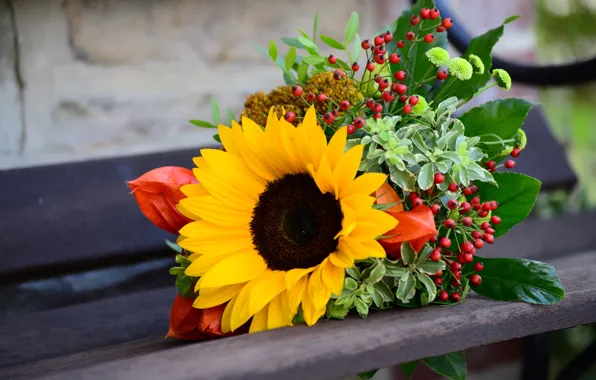 Sunflowers, flowers, bench, bouquet, fruit, different, physalis, autumn
