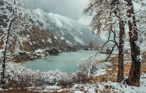 Picture winter, forest, snow, trees, landscape, mountains, nature, lake