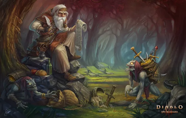 The game, fantasy, art, diablo, Klaher Baklaher, Chronicler