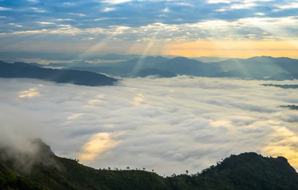 Picture light, golden, landscape, mountains, great, light flare, mist mountain