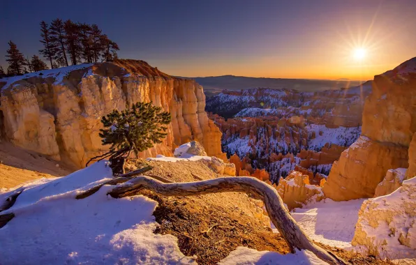 Picture sunset, Utah, USA, National Park Bryce Canyon