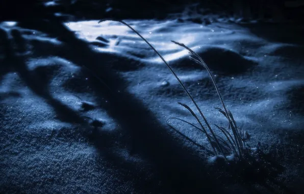 Picture winter, grass, snow, night, sparks, shadows