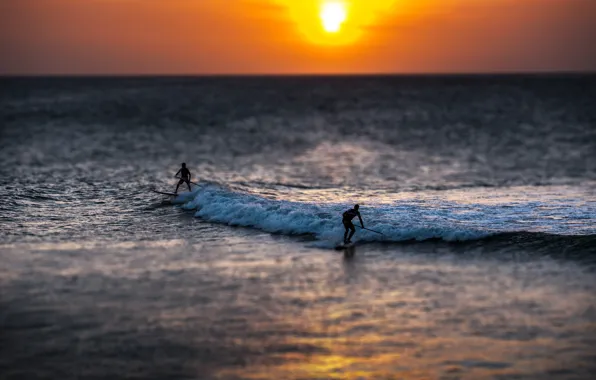 Wave, the sun, horizon, surfing