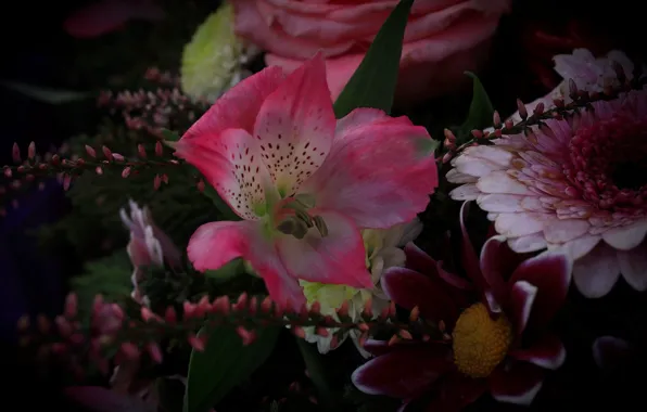 Flowers, pink, bouquet, Dahlia, different, gerbera, Alstroemeria