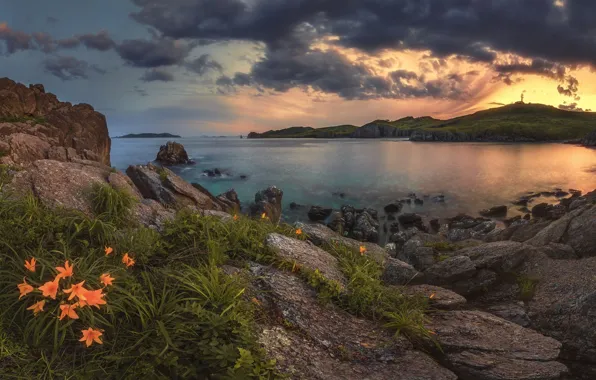 The sky, sunset, flowers, nature, lake, stones, rocks, Andrew Krovlin