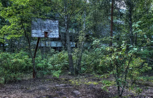 Sport, basketball, Playground