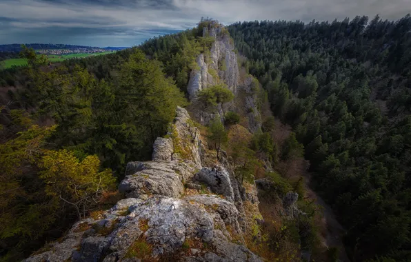 Forest, mountains, stones, rocks, ate, slope