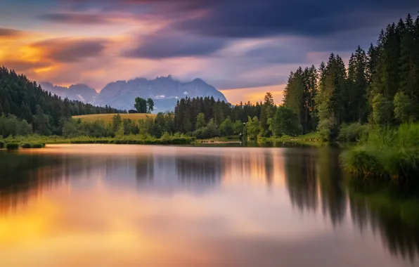 Forest, mountains, lake, shore, morning