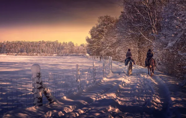 Winter, snow, treatment, horse ride