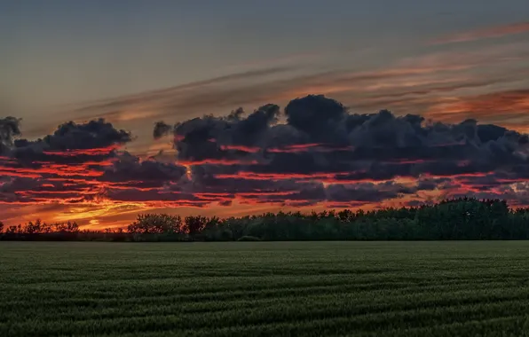 Picture Sunset, Summer, Manitoba