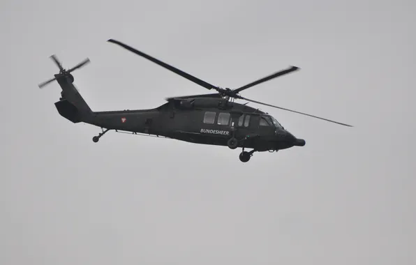 Picture helicopter, black hawk, Airpower, Austrian Air Force