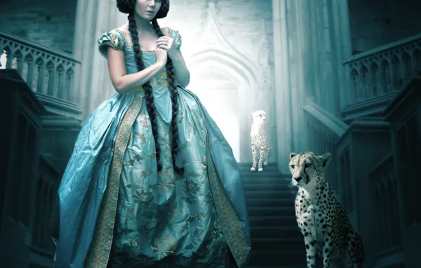 Girl, cheetahs, lady
