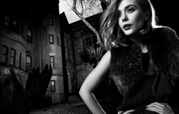 Trees, night, castle, makeup, dress, hairstyle, yard, blonde