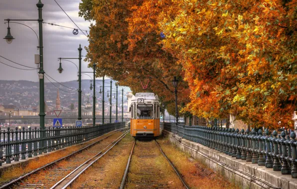 Autumn, Park, rails, tram, Marco Squassina