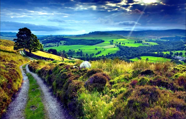 Road, field, nature, hills, landscape