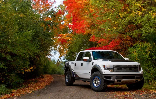 Picture tuning, Ford, car, Ford, F-150, powerful, SVT Raptor, Roush