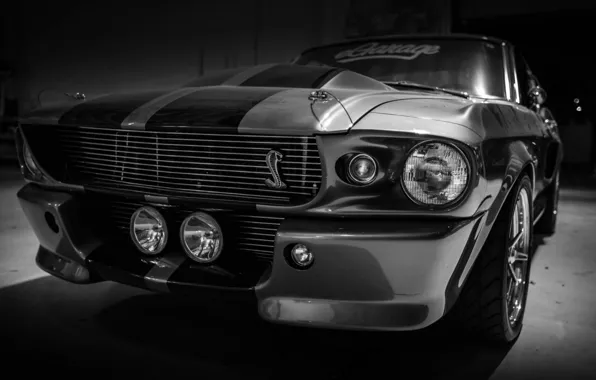 Mustang, Ford, Shelby, GT500, Ford, Eleanor, Muscle car, Silver