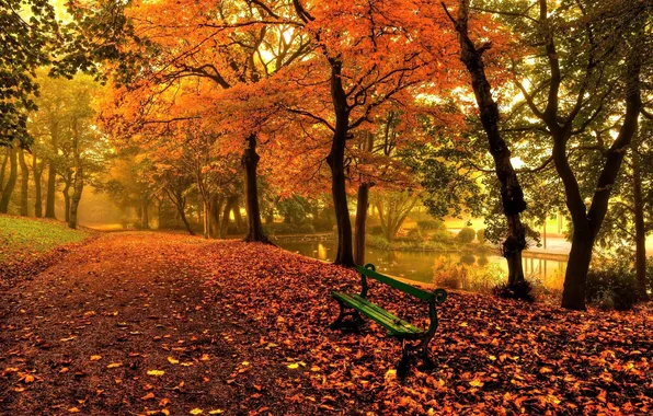 Road, leaves, trees, lake, Autumn, shop, Park