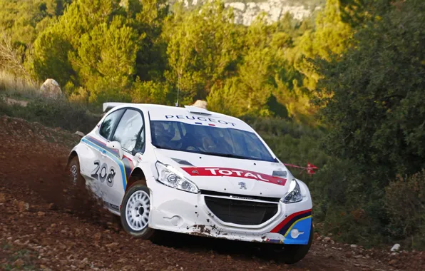 Picture Peugeot, rally, Peugeot 208 Type R5