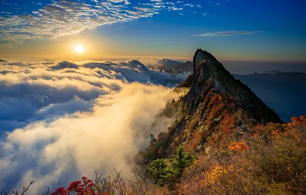 Picture autumn, the sun, clouds, rays, landscape, mountains, nature, peak