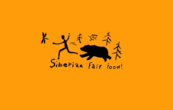Picture bear, fast food, Siberia