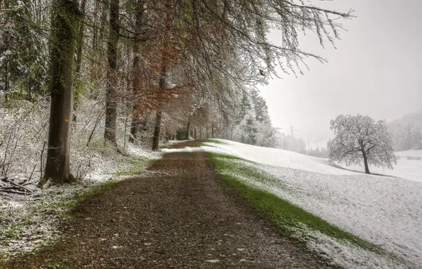 Road, snow, landscape, nature