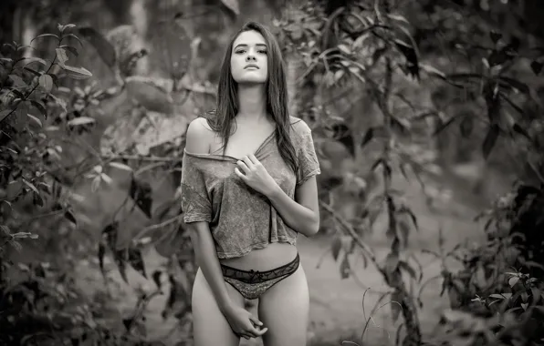 Look, leaves, branches, nature, model, panties, makeup, Mike