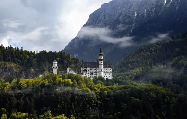 Picture forest, mountains, castle, Germany, Neushwanstein