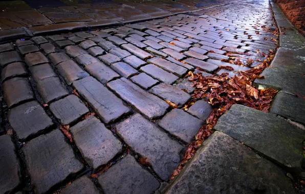 Autumn, the city, street