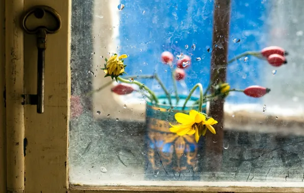 Picture glass, flowers, key, window