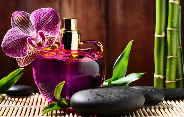 Picture flower, stones, perfume, bamboo, bottle, Orchid, black, Spa