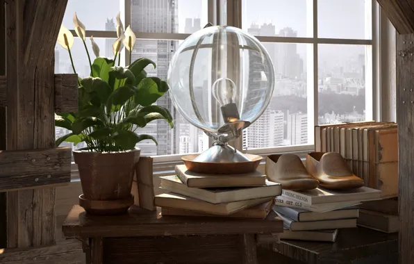 Flower, lamp, window, shoes, BY THE WINDOW