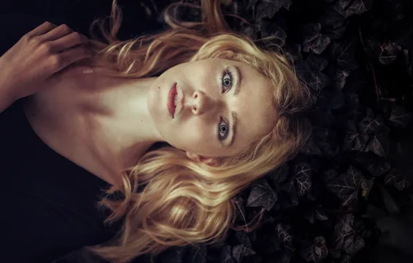 Picture eyes, look, girl, face, background, model, hair, lies