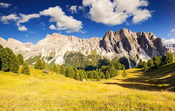 Picture the sky, grass, clouds, trees, mountains