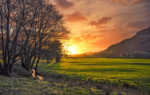 Field, trees, sunset, stream, England, glow, Cumbria