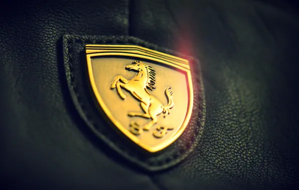 Macro, gold, logo, leather, Ferrari, Ferrari