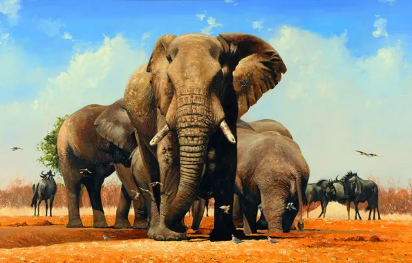 Picture, Africa, Elephants, Drink, Wildlife, British animal artist, Pip McGarry, Pip McGarry