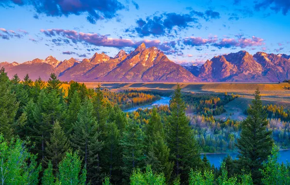 Forest, mountains, USA, parks, Grand Teton National Park